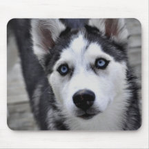 Tapis de souris enroué de chiot