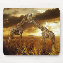 Tapis de souris girafes coucher du soleil