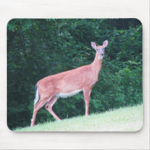 Tapis de souris grand de cerfs communs
