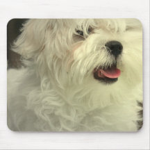 Tapis de souris maltais