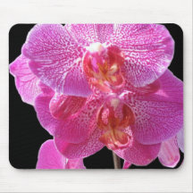 Tapis de souris rose de floraison d'orchidées