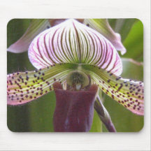 Tapis de souris unique d'orchidée