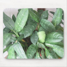 Tapis de souris vert de jardin