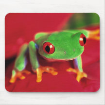 Tapis vert clair de souris de grenouille tapis de souris