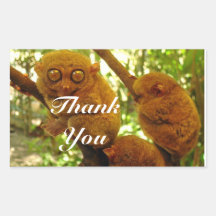 tarsier autocollants rectangulaires