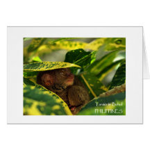 Tarsier dans la carte de note de Bohol