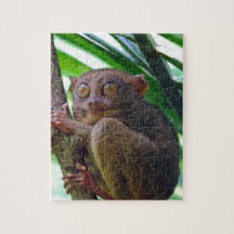 Tarsier philippin minuscule puzzles