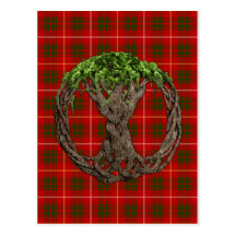 Tartan de Bruce de clan et arbre de la vie celtiqu Cartes Postales