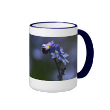 Tasse 3 de myosotis