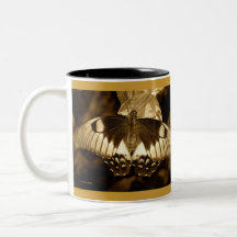 Tasse antique de beauté