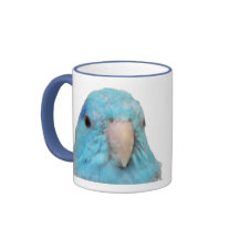 Tasse bleue de Parrotlet