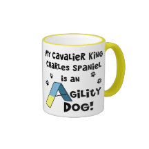 Tasse cavalière de chien d'agilité d'épagneul du R