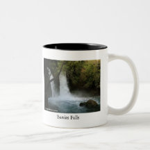 Tasse d'automnes de l'ISRAËL Banias