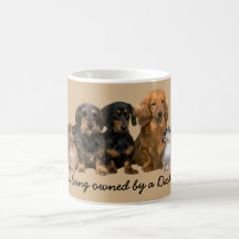 Tasse de bande de teckel