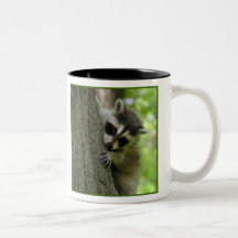Tasse de bébé de raton laveur