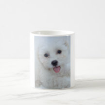 Tasse de café de De Tulear de coton