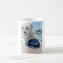 Tasse de café de De Tulear de coton