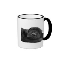 Tasse de café de laboratoire de sommeil