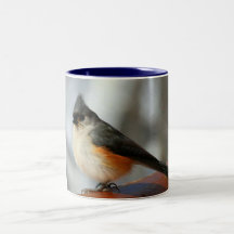 Tasse de café de mésange tuftée