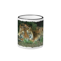 Tasse de café de tigre de Bengale