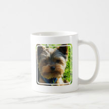 Tasse de café de Yorkshire Terrier