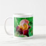 Tasse de café d'iris