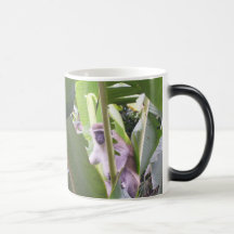 Tasse de café Morphing de singe