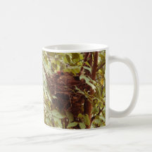 Tasse de cardinal de mère