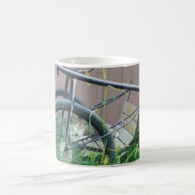 Tasse de chat de grange