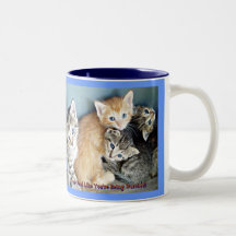 Tasse de chaton