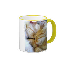 Tasse de chatons de câlin