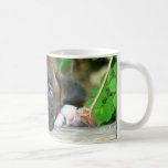 Tasse de chiot de boxeur