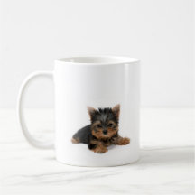 Tasse de chiot de Yorkshire Terrier