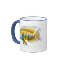 Tasse de Cichlid de paon d'Aulonocara
