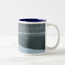 Tasse de cygne d'hiver