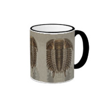 Tasse de fossile de Trilobite
