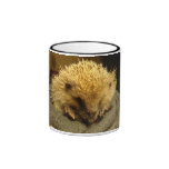 tasse de hérisson