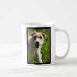Tasse de Jack Russell Terrier