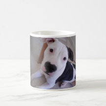 Tasse de Jenny
