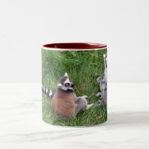 Tasse de lémurs coupée la queue par anneau