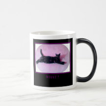 tasse de minou