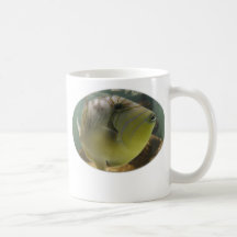 TASSE DE MYFISHY