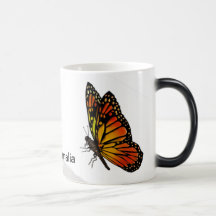 Tasse de papillon