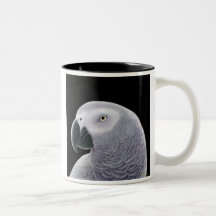 Tasse de perroquet de gris africain