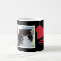 Tasse de Valentine de chat persan