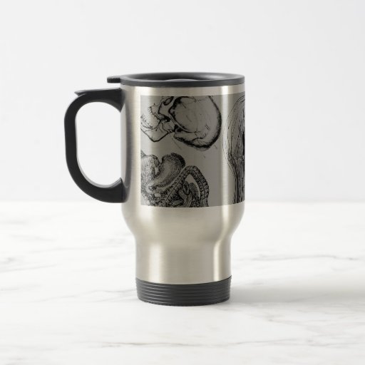 Tasse de voyage d'anatomie