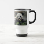 Tasse de voyage d'ours panda