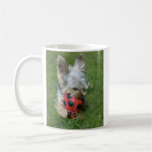 Tasse de Yorkie