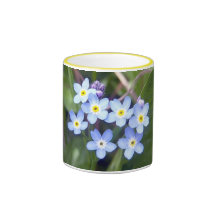Tasse des myosotis des marais 2