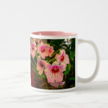 Tasse d'Olivia
